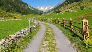 Trockenmauern - Bruchsteinmauern - Baugruppe Bristen